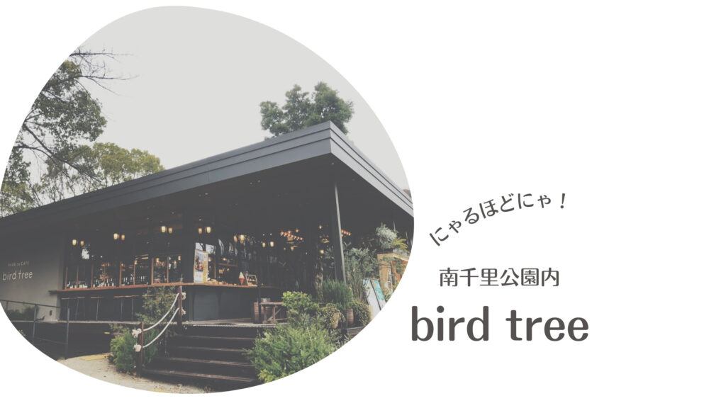 bird tree、カフェ、千里
