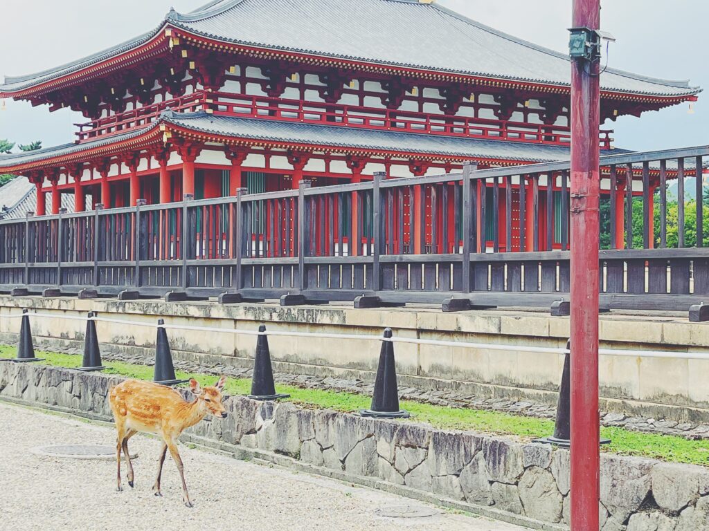 奈良興福寺の鹿